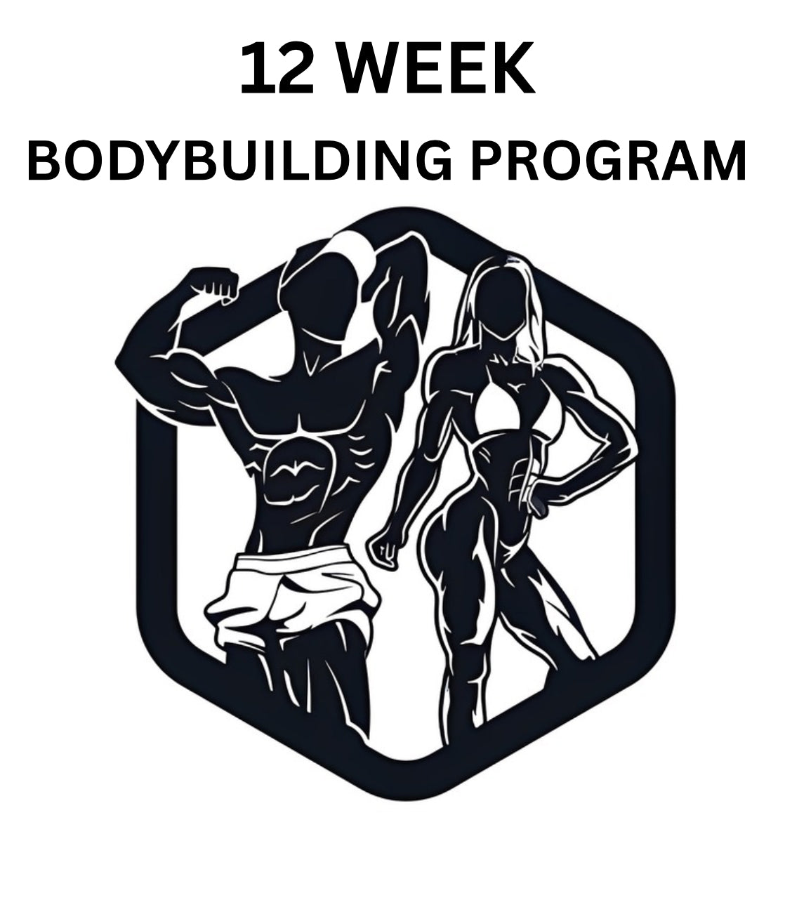 Physique Formula Bodybuilding Program